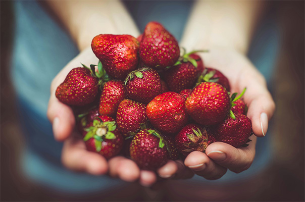 mains portant des fraises